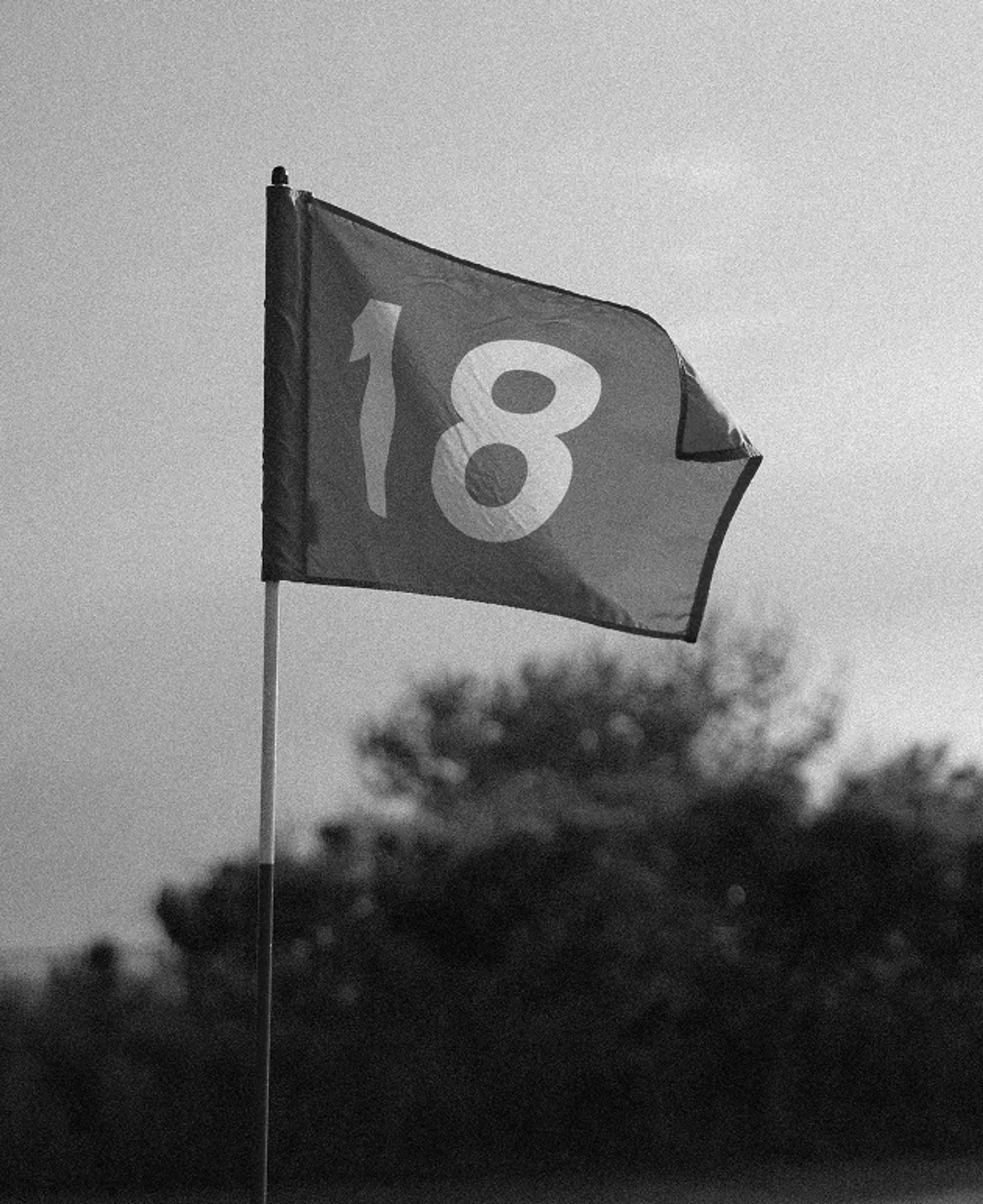 Allan nygren xv K Qu Nt Oh I unsplash 2